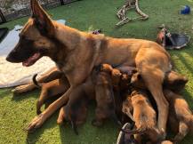 175993404_3846028595446941_4019118478175464725_n