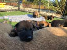 176120349_3846073608775773_1367247648345743509_n