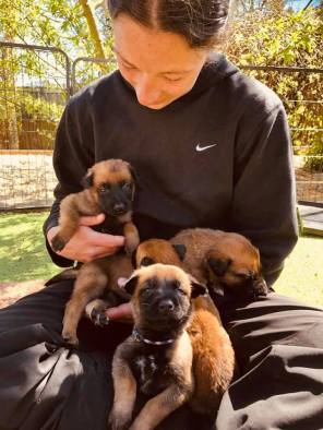 177010713_144436077686966_1425616282407061503_n