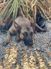 178340889_10159614352079365_2613124326814685951_n