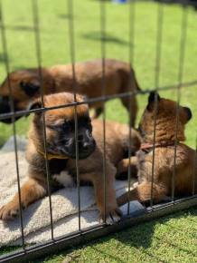 178481020_10159614353269365_3685534861469527906_n