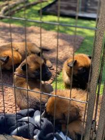 178636108_10159614352394365_8261647400536461313_n