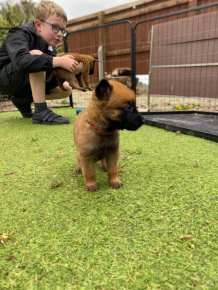 179413540_3868717479844719_3811233130719394450_n