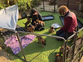 180464424_886154235274757_5000604026954394464_n