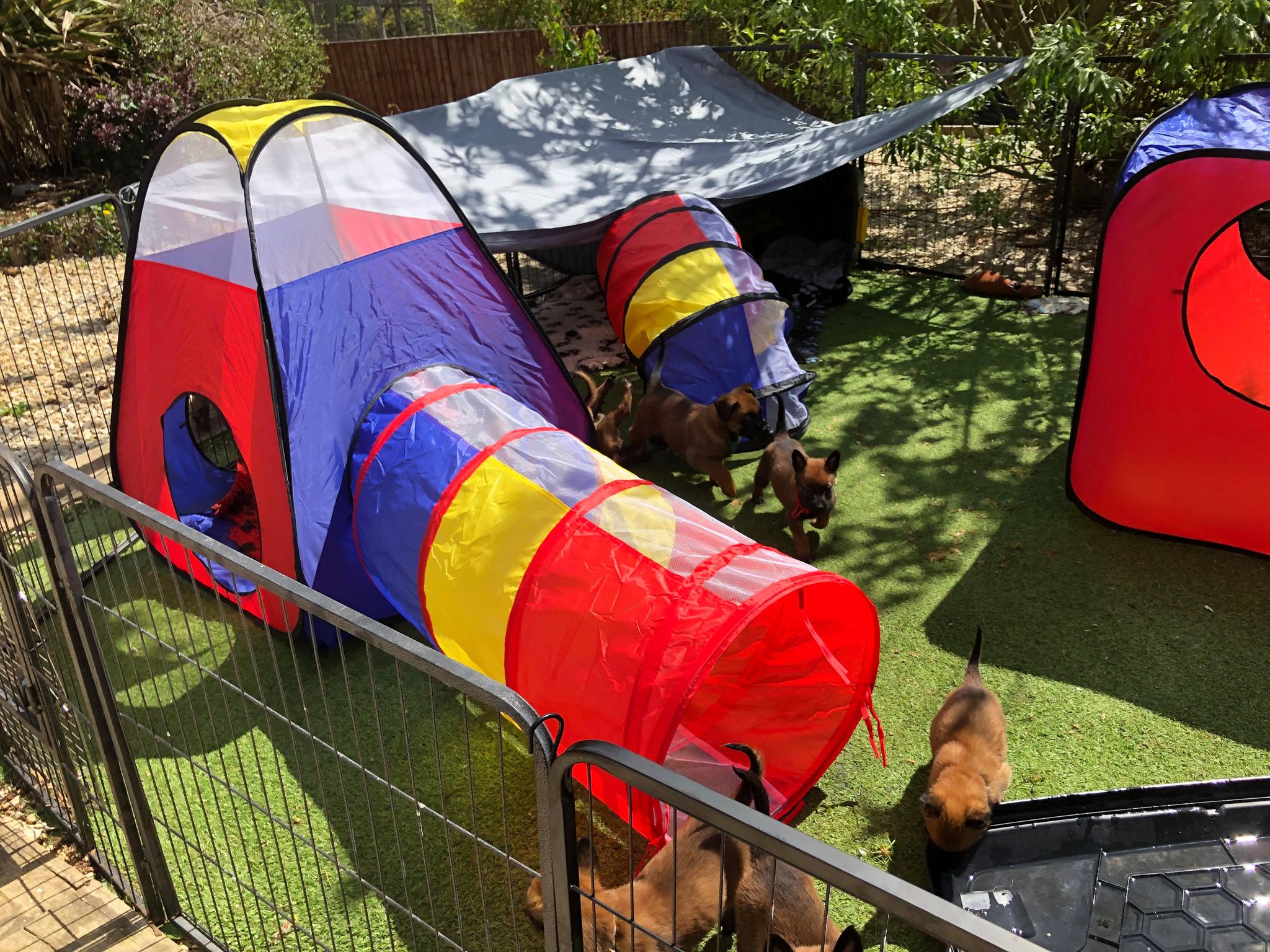 182074091_585839315710798_5947832190145389334_n