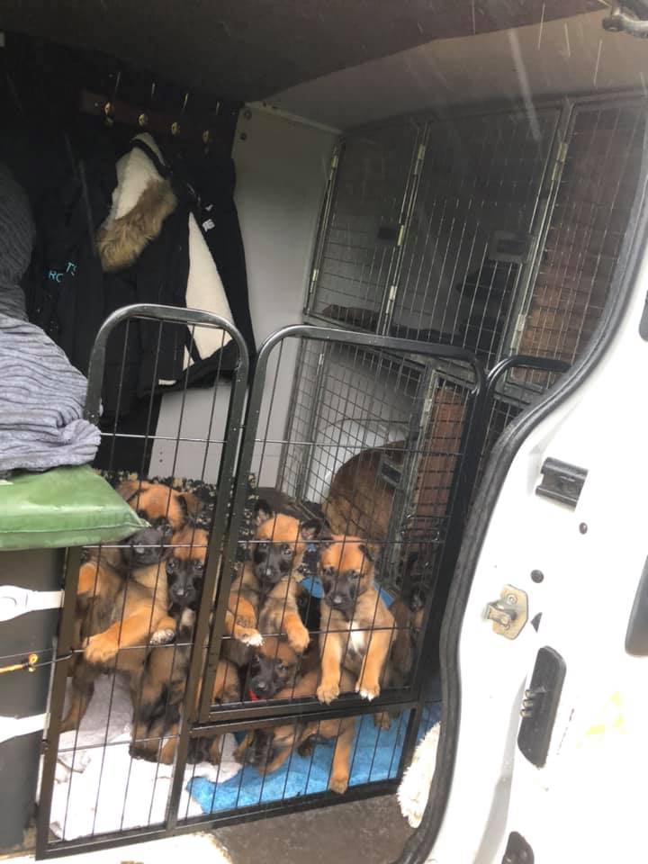 182332564_3885529641496836_2324559856613248761_n