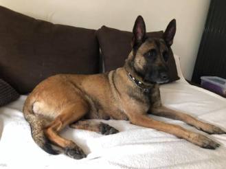 186248892_3915596845156782_1228117664691532569_n