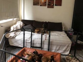 186328987_3915596975156769_3513820710197369346_n