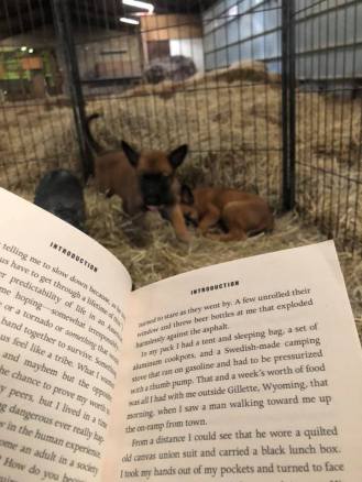 186546411_3928203877229412_2596010555284675989_n