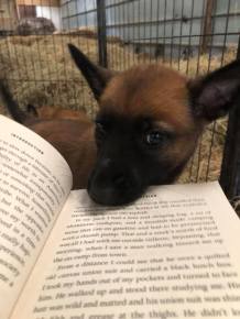 186549934_3928203753896091_9189895707478113719_n