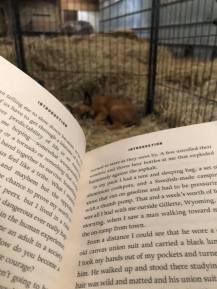 186913311_3928203853896081_1804439410751004083_n