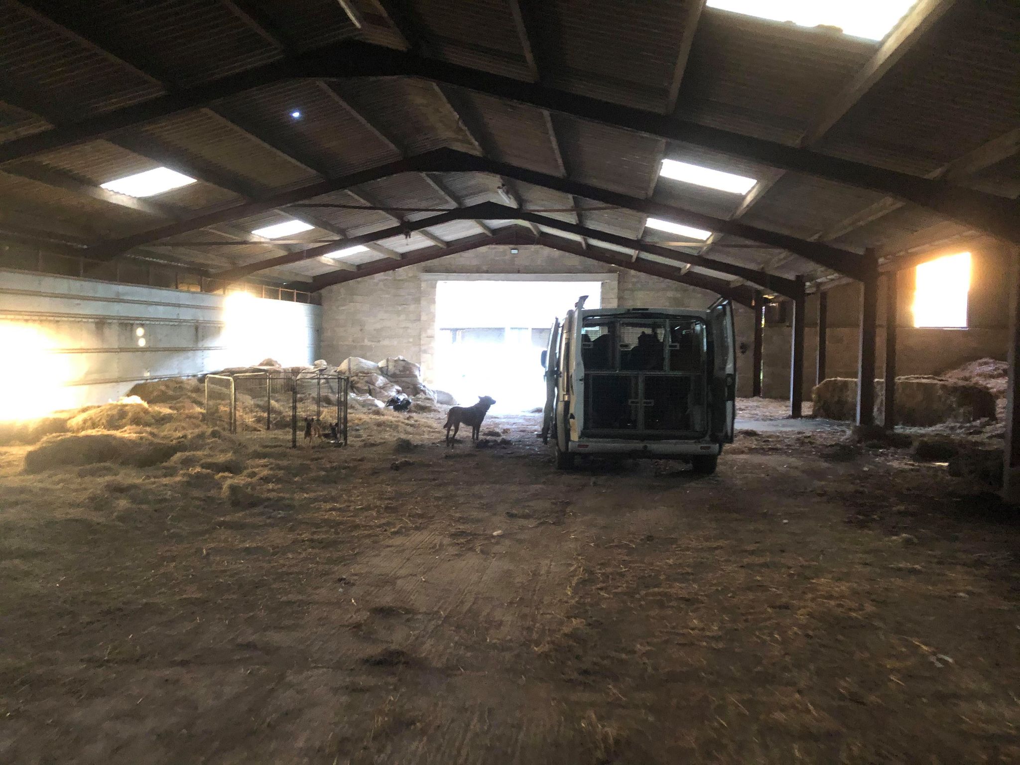 187096649_511087660019158_9189980217528221190_n