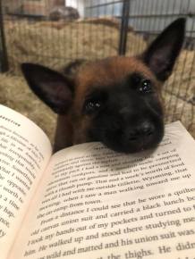 187288024_3928203737229426_2996402439862554401_n