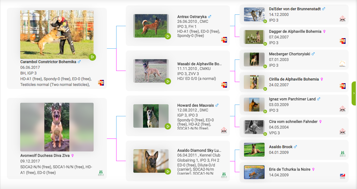 Screen Shot 2023-12-05 at 17.51.05